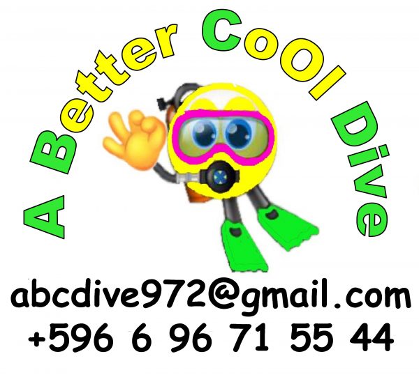 OK logo plongeur ABC Dive scaled