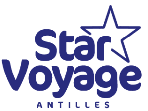 Star voyage logo