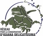 logo iguana def impression